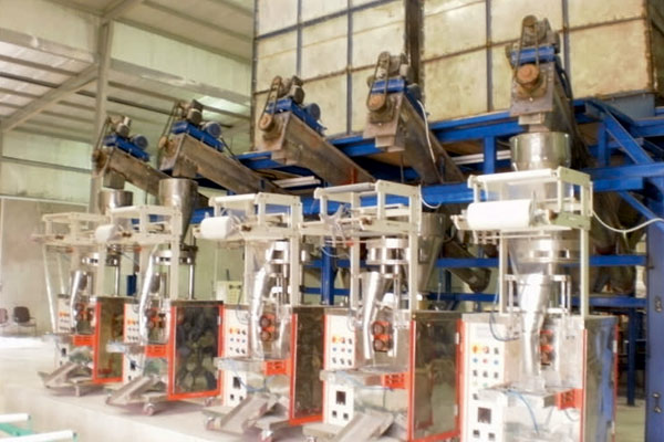 Machinery Packing